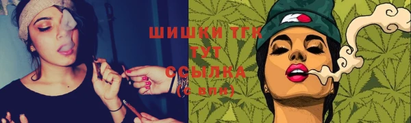 хмурый Тавда