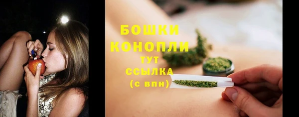 твердый Володарск