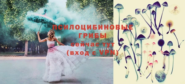 стафф Волоколамск